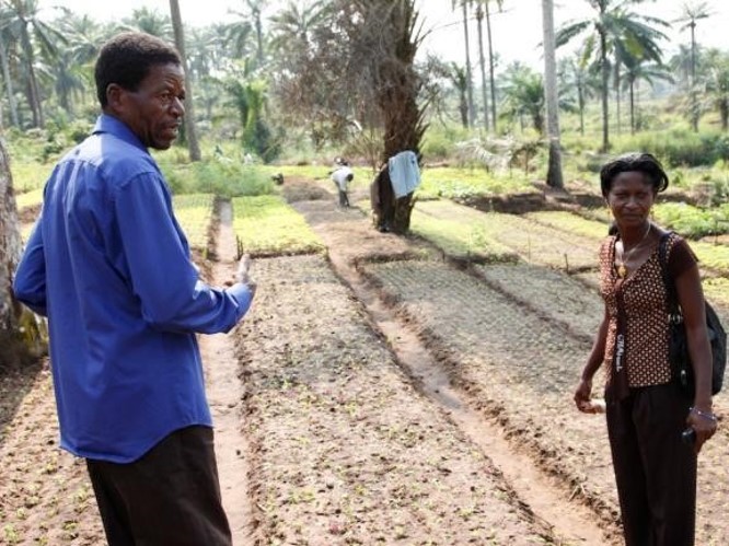 Strategie pour lutte contre la nutrition - Graines