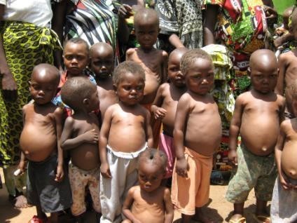 Strategie pour lutte contre la nutrition - Graines